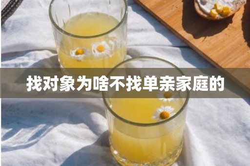 找对象为啥不找单亲家庭的