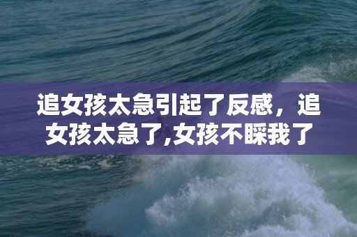 追女孩太急引起了反感，追女孩太急了,女孩不睬我了,咋办。还能挽回吗?