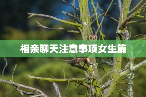相亲聊天注意事项女生篇