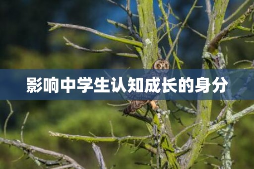 影响中学生认知成长的身分