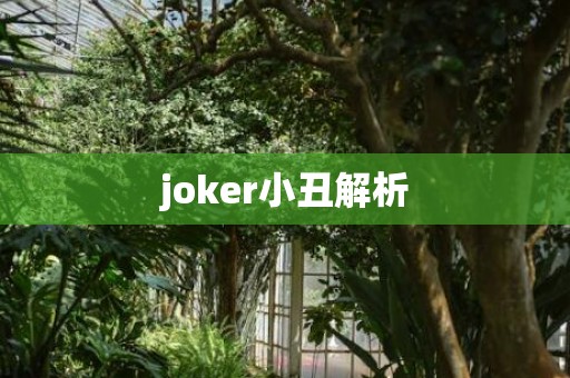 joker小丑解析