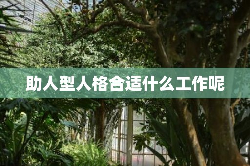 助人型人格合适什么工作呢