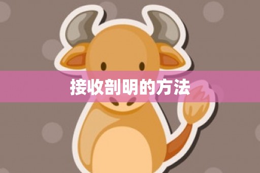 接收剖明的方法