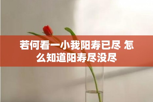 若何看一小我阳寿已尽 怎么知道阳寿尽没尽