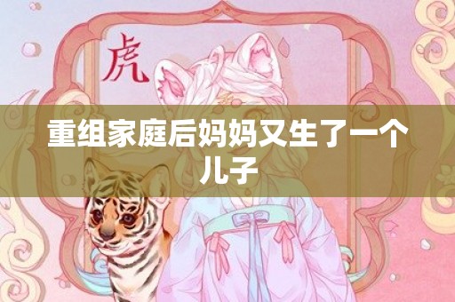 重组家庭后妈妈又生了一个儿子