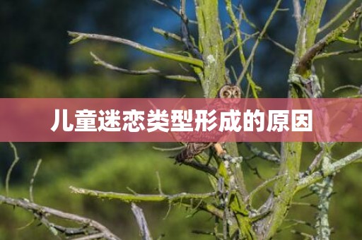 儿童迷恋类型形成的原因