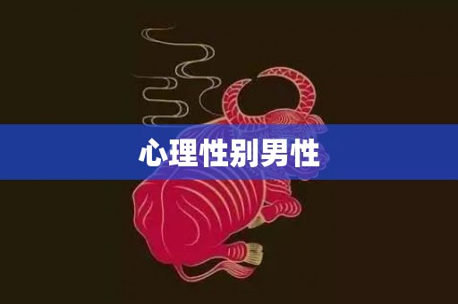 心理性别男性