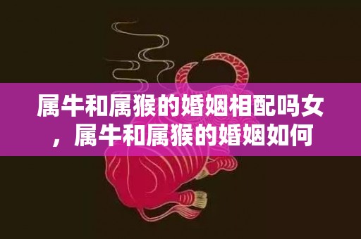 属牛和属猴的婚姻相配吗女，属牛和属猴的婚姻如何