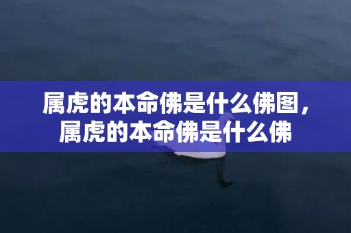 属虎的本命佛是什么佛图，属虎的本命佛是什么佛