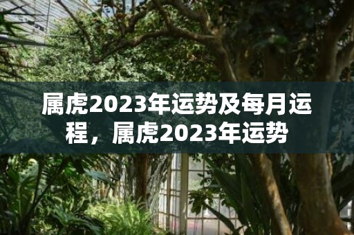 属虎2023年运势及每月运程，属虎2023年运势