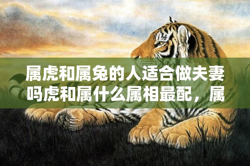属虎和属兔的人适合做夫妻吗虎和属什么属相最配，属虎和属兔的人适合做夫妻吗