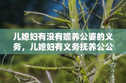 儿媳妇有没有赡养公婆的义务，儿媳妇有义务抚养公公婆婆吗 媳妇对公婆有哪些义务