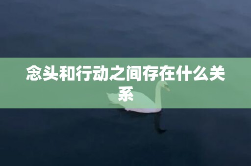 念头和行动之间存在什么关系