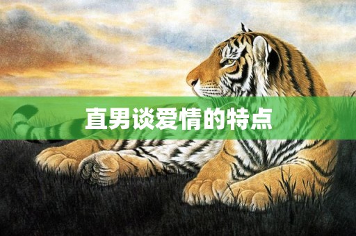 直男谈爱情的特点