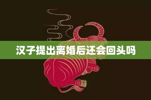 汉子提出离婚后还会回头吗