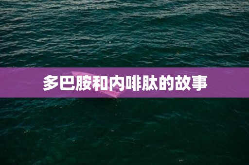 多巴胺和内啡肽的故事