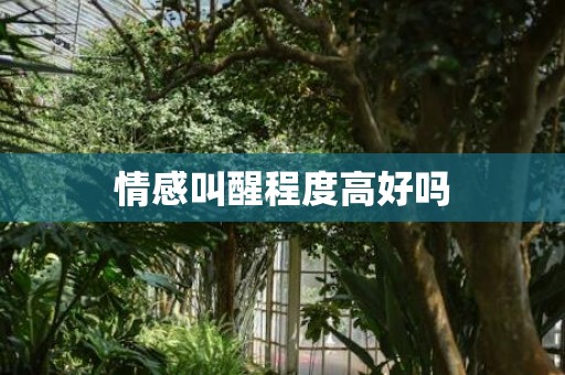 情感叫醒程度高好吗