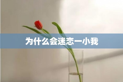 为什么会迷恋一小我