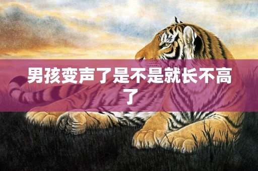 男孩变声了是不是就长不高了
