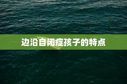 边沿自闭症孩子的特点