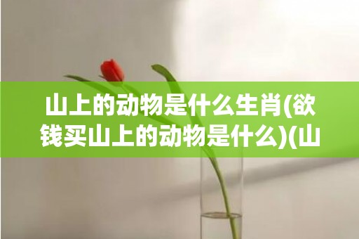 山上的动物是什么生肖(欲钱买山上的动物是什么)(山上称王是什么动物)