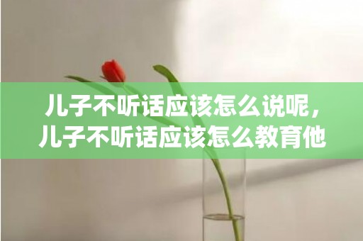 儿子不听话应该怎么说呢，儿子不听话应该怎么教育他呢(面对孩子不听话,不听管教怎么办)