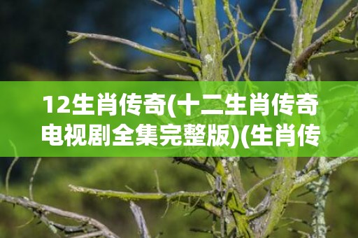 12生肖传奇(十二生肖传奇电视剧全集完整版)(生肖传奇之十二生肖总动员)