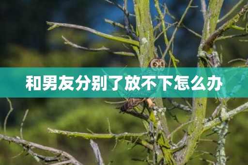 和男友分别了放不下怎么办
