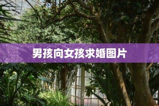 男孩向女孩求婚图片