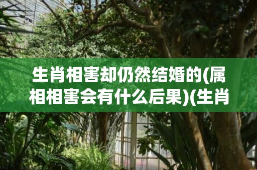 生肖相害却仍然结婚的(属相相害会有什么后果)(生肖相害却仍然结婚的)