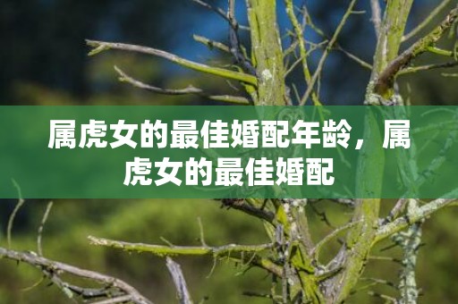 属虎女的最佳婚配年龄，属虎女的最佳婚配