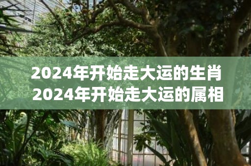 2024年开始走大运的生肖 2024年开始走大运的属相(2024年开始走十年好运的星座女)