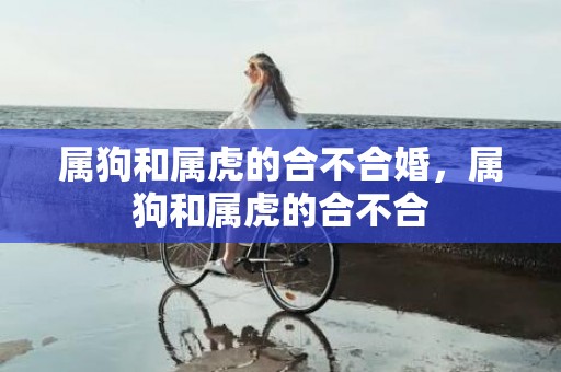 属狗和属虎的合不合婚，属狗和属虎的合不合