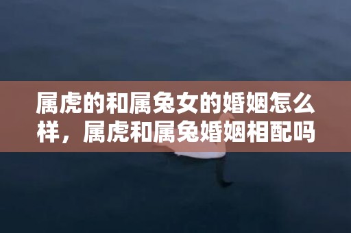 属虎的和属兔女的婚姻怎么样，属虎和属兔婚姻相配吗