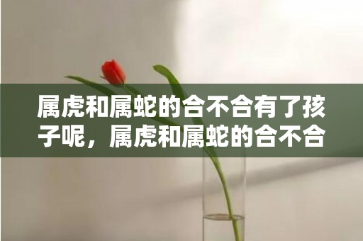 属虎和属蛇的合不合有了孩子呢，属虎和属蛇的合不合