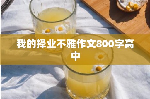 我的择业不雅作文800字高中