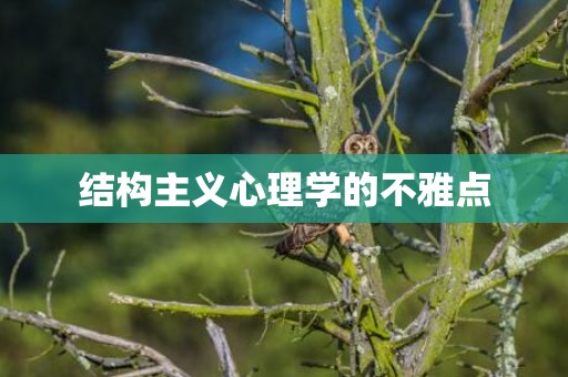 结构主义心理学的不雅点