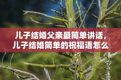 儿子结婚父亲最简单讲话，儿子结婚简单的祝福语怎么说 新婚祝福语简短上档次