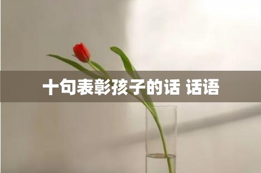 十句表彰孩子的话 话语
