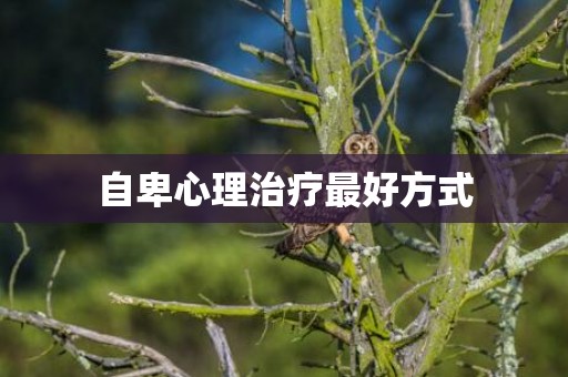 自卑心理治疗最好方式