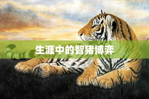 生涯中的智猪博弈