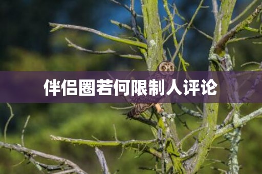 伴侣圈若何限制人评论