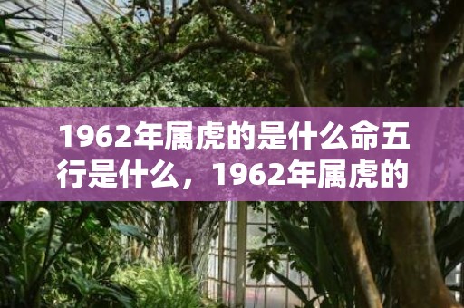 1962年属虎的是什么命五行是什么，1962年属虎的是什么命