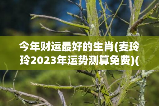 今年财运最好的生肖(麦玲玲2023年运势测算免费)(今年偏财运最好的生肖)