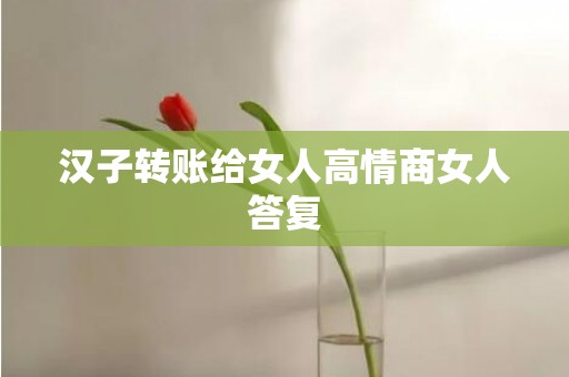 汉子转账给女人高情商女人答复