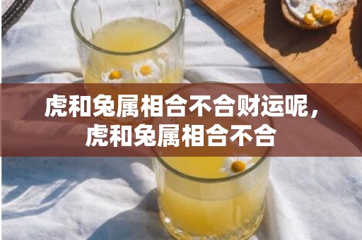 虎和兔属相合不合财运呢，虎和兔属相合不合