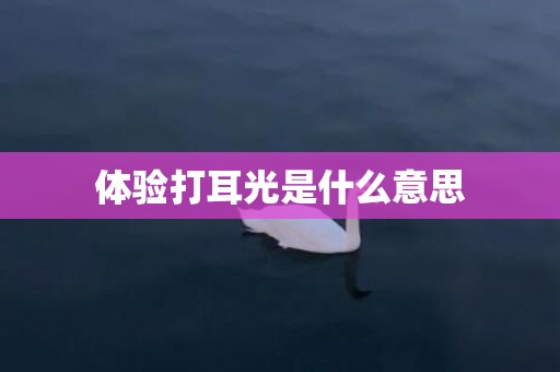 体验打耳光是什么意思