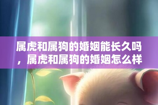 属虎和属狗的婚姻能长久吗，属虎和属狗的婚姻怎么样