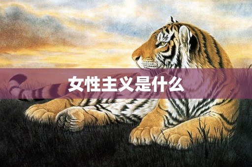 女性主义是什么