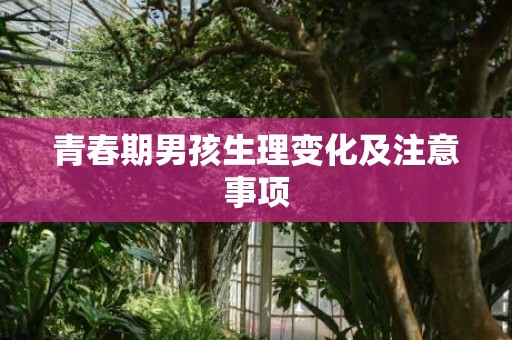 青春期男孩生理变化及注意事项